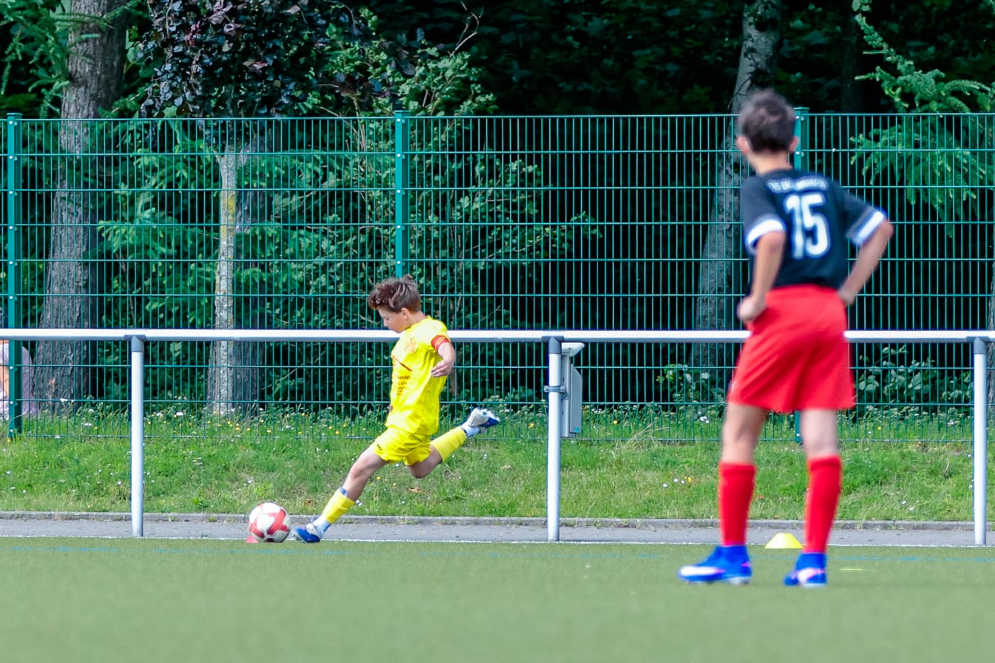 Meister 2025 D-JGD-119a_